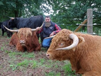 Wie Schottische Hochlandrinder für mehr Artenvielfalt sorgen - Züchter Maik Werner mit einigen der Schottischen Hochlandrinder, die er jetzt in mehreren Koppeln im Hirschgrund weiden lässt. 