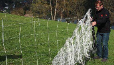 Wie sich Landwirte auf Wölfe vorbereiten - Netze zur Wolfsabwehr: Ronny Fiedler, Mitarbeiter der Firma Horizont, zeigte ein Netz mit weiten Maschen, das Kleintiere durchschlüpfen lässt.