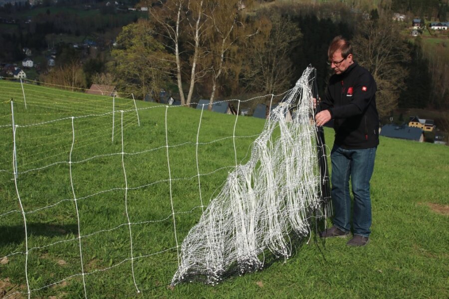 Netze zur Wolfsabwehr: Ronny Fiedler, Mitarbeiter der Firma Horizont, zeigte ein Netz mit weiten Maschen, das Kleintiere durchschlüpfen lässt.
