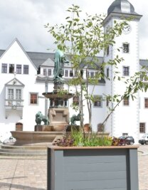 Wieder Pflanzkübel auf dem Obermarkt - Neue bepflanzte Blumenkübel wurden auf dem Freiberger Obermarkt aufgestellt. 