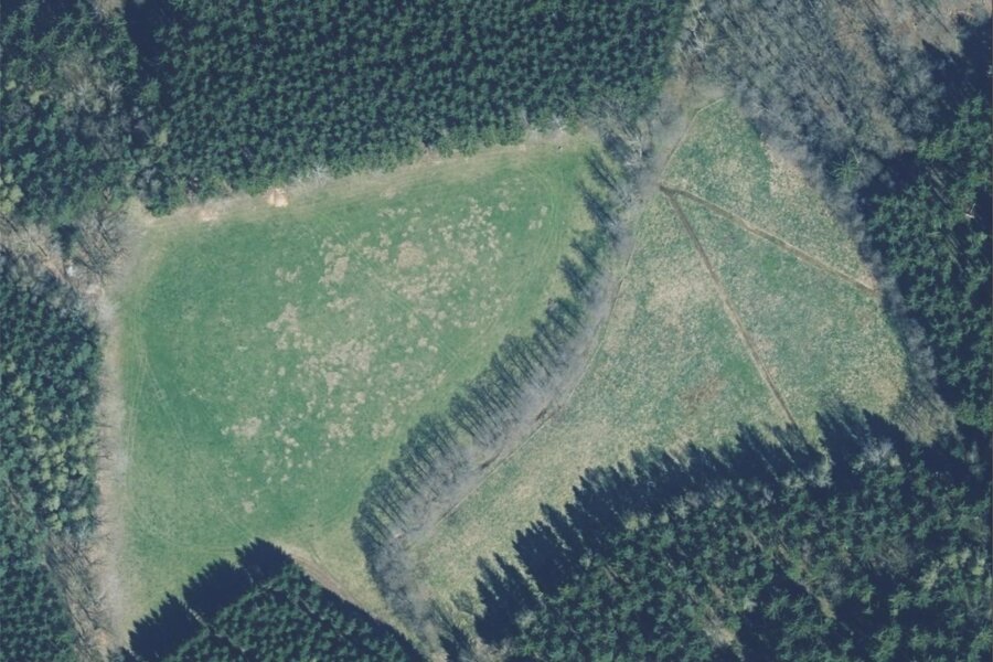Wiederentdeckt: Hitlers Wunderwaffe im Schönfelser Wald - Ein Luftbild zeigt die unspektakuläre Fläche heute.