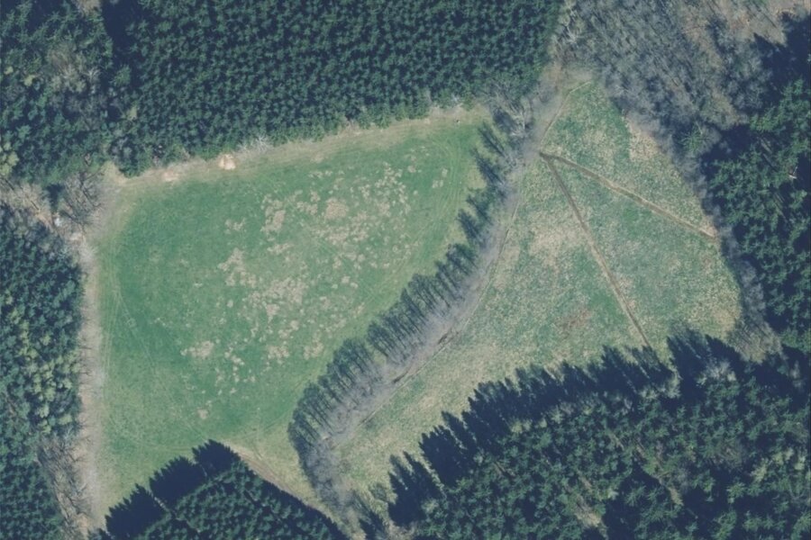 Wiederentdeckt: Hitlers Wunderwaffe im Schönfelser Wald - Ein Luftbild zeigt die unspektakuläre Fläche heute.