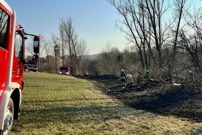 Wiesenbrand in Oelsnitz - Unweit des Schlosses Voigtsberg (im Hintergrund) brannte am Mittwochnachmittag der Rand eines Feldes.