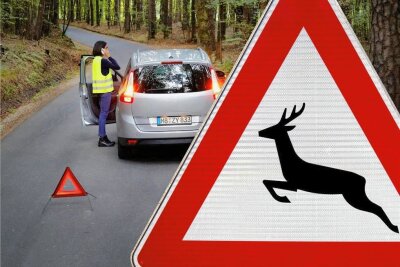 Wildunfälle im Vogtland: In der Dämmerung lauert die Gefahr - Das Schild "Achtung Wildwechsel" kennzeichnet Streckenabschnitte, an denen sich innerhalb von drei Jahren mindestens 23 Wildunfälle ereignet haben. 