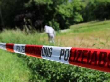 Wilkau-Haßlau: Mutter des toten Säuglings ermittelt - 
