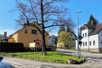 Wilkau-Haßlau: Patenschaften für Mini-Parks gesucht - Die Rasenfläche an der Ecke Mozartstraße/Culitzscher Straße könnte bald von privaten Personen gepflegt werden. 