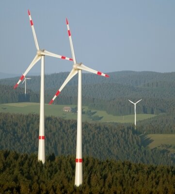 Windanlagen im Wald - so wie hier in Baden-Württemberg - soll es im Landkreis nicht geben. 