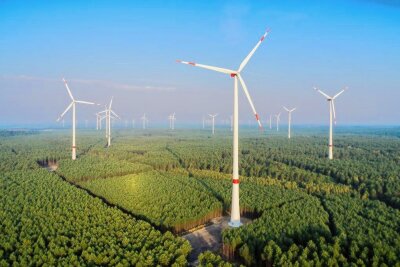 Windkraft im Wald: Olbernhau forciert Bau neuer Mega-Anlagen - Andernorts gibt es sie bereits: Windräder im Wald. Der Freistaat Sachsen ermöglicht den Bau nun ebenfalls. Olbernhau will eine Vorreiterrolle einnehmen. 