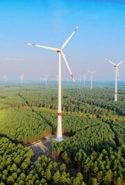 Windkraft im Wald: Olbernhau forciert Bau - Andernorts gibt es sie bereits: Windräder im Wald. Der Freistaat Sachsen ermöglicht den Bau nun ebenfalls. Olbernhau will eine Vorreiterrolle einnehmen. 