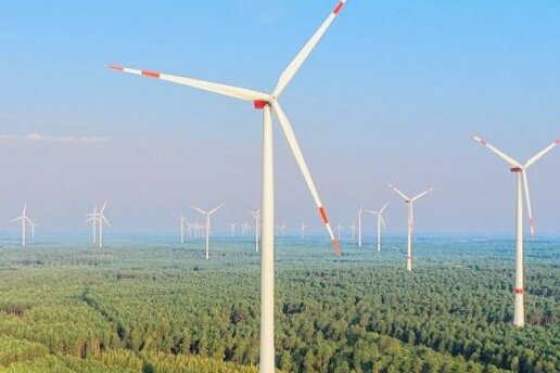 Windkraft im Wald: Olbernhau forciert Bau - Andernorts gibt es sie bereits: Windräder im Wald. Der Freistaat Sachsen ermöglicht den Bau nun ebenfalls. Olbernhau will eine Vorreiterrolle einnehmen. 