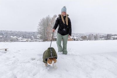 Winter-Spaziergang: Kater Smartie liebt den Schnee - Kater Smartie ist nicht nur im Sommer, sondern auch im Winter begeistert davon, die Natur zu erkunden.