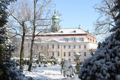 Winterzauber im Schlosspark Lichtenwalde - Der Schlosspark in Lichtenwalde wird winterfest gemacht.