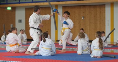 "Wir stehen vor herausfordernden Zeiten" - Der Rochlitzer Sportverein Karate-Do hatte kürzlich einen Lehrgang am Wochenende für Kinder und Jugendliche organisiert. Auch solches Engagement der Vereine sollte künftig eine Schwerpunktförderung erhalten. 