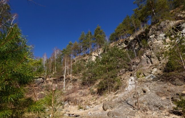 Wird westlich von Chemnitz bald wieder Nickel abgebaut? - Im Serpentinit-Steinbruch im Oberwald sieht man Spuren von Bergbauaktivitäten in der Vergangenheit.