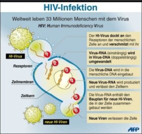 Wissenschaftler melden Durchbruch bei Aidsimpfung - Wissenschaftler haben einen Durchbruch bei der Suche nach einem Impfstoff gegen das Immunschwächesyndrom Aids gemeldet. 