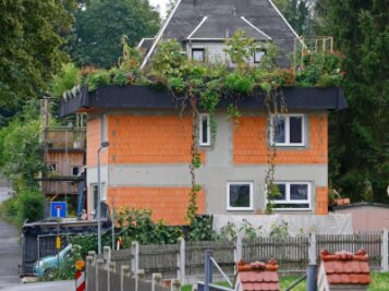 Wo das Gemüse auf dem Dach wächst - Während die Mauern des Einfamilienhauses noch verputzt werden müssen, steht der Dachgarten bereits in voller Blüte. 