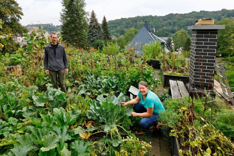 Wo das Gemüse auf dem Dach wächst - Ein Paradies für Obst- und Gemüsefans haben Annett und Joachim Weigel auf dem Dach ihres Hauses erschaffen.
