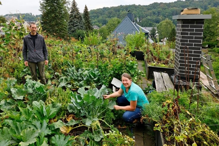 Wo das Gemüse auf dem Dach wächst - Ein Paradies für Obst- und Gemüsefans haben Annett und Joachim Weigel auf dem Dach ihres Hauses erschaffen.