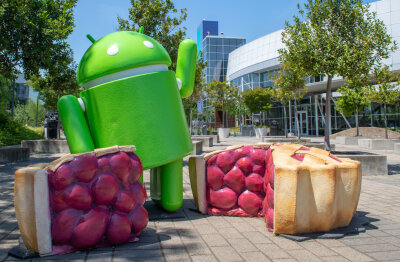 Wo Google und Tesla ihren Anfang nahmen: Wie Gründer aus Mittweida ins Silicon Valley kommen - Ein Android grüßt - eingerahmt von Fruchtkuchen - vor der Google-Zentrale im Silicon Valley. Dort sollen bald auch Gründer aus Mittweida Station machen.