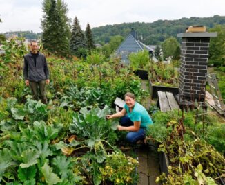 Wo in Lichtenstein das Gemüse auf dem Dach wächst - Ein Paradies für Obst- und Gemüsefans haben Annett und Joachim Weigel auf dem Dach ihres Hauses erschaffen.