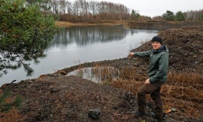 Wo Kahlschlag der Natur hilft - Maximilian Schweiger von der Unteren Naturschutzbehörde zeigt am Rand des See im Naturschutzgebiet auf einen Tümpel. Dieser wurde angelegt, um den Laich der Amphibien vor Fischen zu schützen. 
