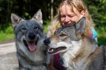 Wo Wolfshunde Ruhe finden - Auf Tuchfühlung: Tierheimchefin Peggy Kreher glaubt, bei denTieren handelt es sich um Geschwister. 