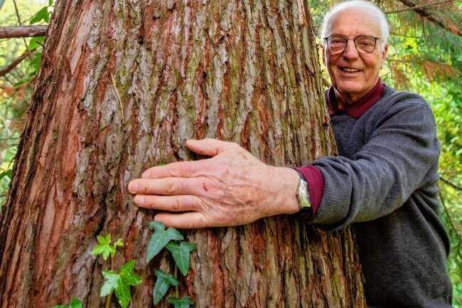 Wohin mit Mammutbäumen? - Bernhard Weisbach an einem Mammutbaum, den er einst nach Plauen mitbrachte. 