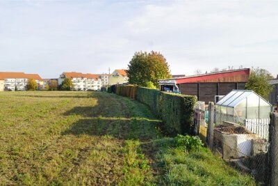 Wohngebiet „Wilkauer Höhe“: Bebauungsplan wird öffentlich ausgelegt - Auf dem Feld hinter der Kleingartenanlage „Erholung“ sollen Einfamilienhäuser entstehen.