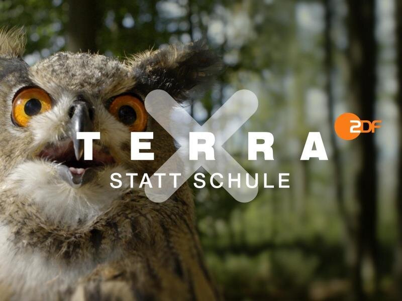 ZDF macht «Terra X»-Erklärclips frei zugänglich -  
          Ein Ausschnitt aus "Terra X statt Schule".