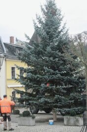 Zehn Meter hoher Baum für Weihnachtsmarkt in Elsterberg - Stadtbauhof-Mitarbeiter Reinhard Semrau dirigierte am Dienstag auf dem Elsterberger Marktplatz die Aufstellung des diesjährigen Weihnachtsbaumes. 