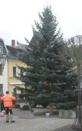 Zehn Meter hoher Baum schmückt Weihnachtsmarkt in Elsterberg - Stadtbauhof-Mitarbeiter Reinhard Semrau dirigierte am Dienstag auf dem Elsterberger Marktplatz die Aufstellung des diesjährigen Weihnachtsbaumes. 