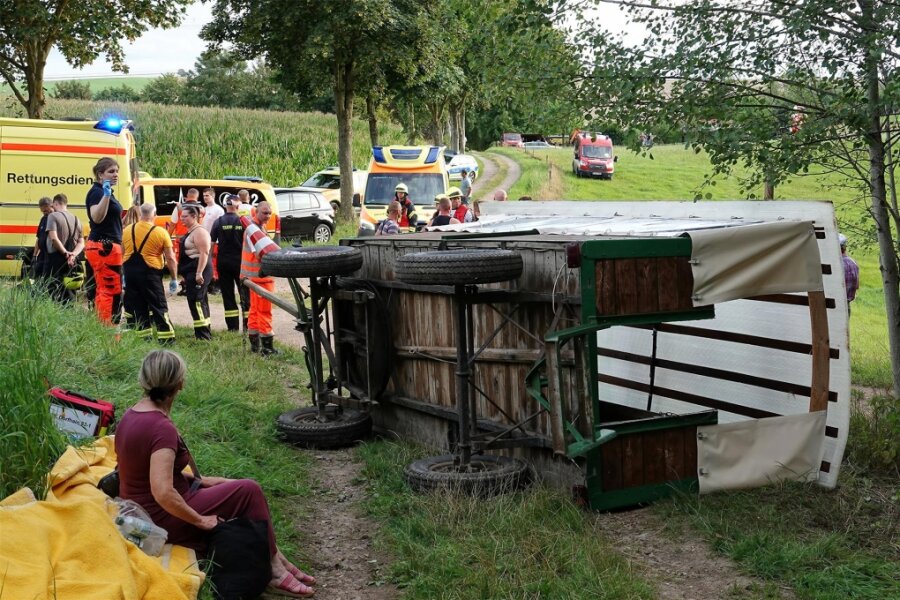 Zehn Verletzte bei Unfall mit Kutsche in Klingenberg: Kind lenkte den Wagen - Eine Kutsche ist in Klingenberg umgekippt. Zehn Personen wurden verletzt.