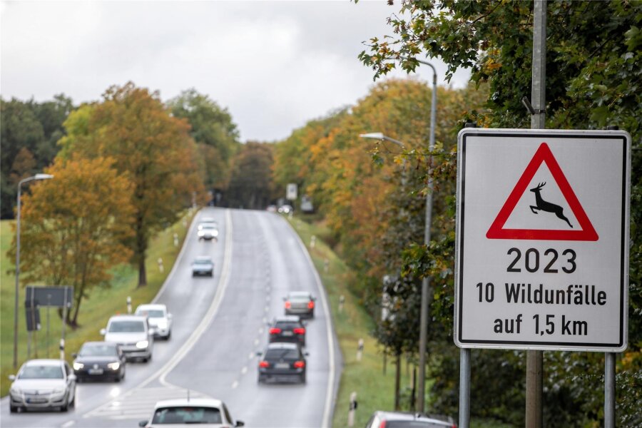 Zehn Wildunfälle binnen weniger Monate auf der Route zur A 72: So reagiert jetzt die Stadt Plauen - Verkehrsschilder in Richtung Autobahnanschlussstelle Plauen-Ost machen neuerdings aufmerksam auf die Gefahr von Wildwechsel.