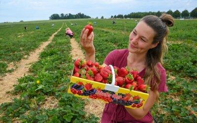 Zeit für süße Früchte - Esmee Jiskoot aus Holland