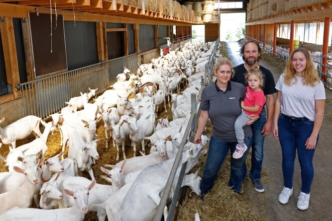 Ziegenhof in Kuhschnappel plant eigene Käseproduktion - Sandra Winter (links) mit ihrem Ehemann Benjamin sowie den Töchtern Lena (Mitte) und Natalie im großen Ziegenstall des Hofes. 