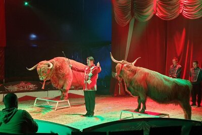 Zirkus kommt ins Erzgebirge – und bringt viele Tiere mit - Der Circus Magic kommt nach Thalheim.