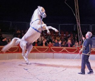 Zirkuspremiere auf der Kippe: Feuerwehr rettet erste Vorstellung - Zirkusdirektor Hardy Weisheit als Pferdedompteur in der Manege. 