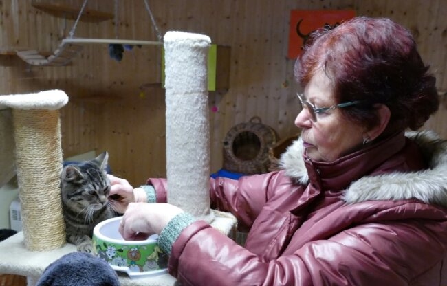 Christine Grzelka und ihre Mitstreiter kümmern sich in der Tierschutzstation vor allem um Katzen und Igel.