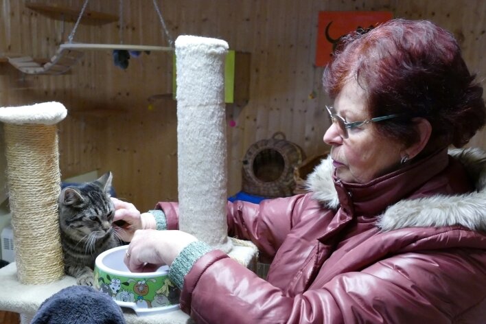 Zschopauer Tierschützern wächst die Arbeit über den Kopf - Christine Grzelka und ihre Mitstreiter kümmern sich in der Tierschutzstation vor allem um Katzen und Igel.