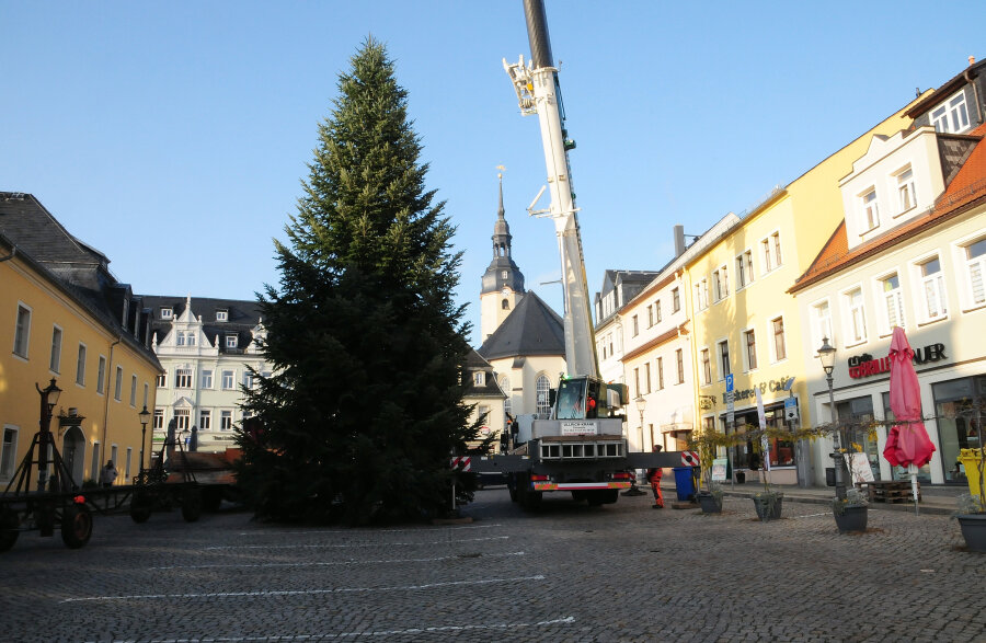 Zschopauer Weihnachtsbaum kommt - Jetzt ist er aufgestellt: Auf dem Zschopauer Neumarkt steht nun der Weihnachtsbaum.