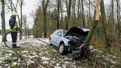 Zschorlau: Audi fährt gegen Baum - Eine 73-Järhige wurde bei einem Autounfall am Dienstag im Zschorlauer Ortsteil Burkhardtsgrün schwer verletzt.