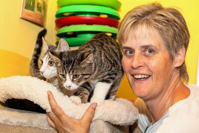 Zu viele Katzen werden abgegeben: Plauener Tierheim verhängt Aufnahme-Stopp - Tierheimchefin Antje Kausch mit den Katzen Elmo und Elvis. In der Einrichtung am Galgenberg werden derzeit mehr als 100 Katzen versorgt. 