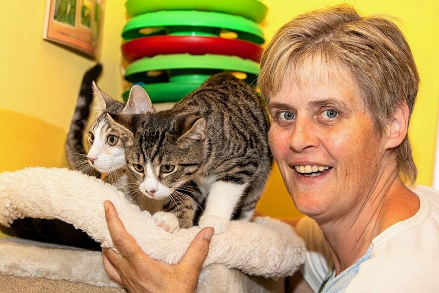 Tierheimchefin Antje Kausch mit den Katzen Elmo und Elvis. In der Einrichtung am Galgenberg werden derzeit mehr als 100 Katzen versorgt. 