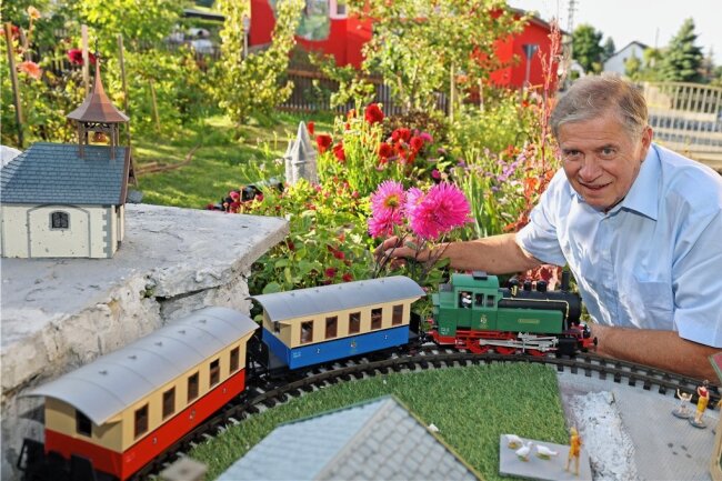Züge fahren in Schreiersgrün an Dahlien vorbei - Dahlien-Liebhaber Frank Hofmann lässt seine Gartenbahn zwischen den Blumeninseln rollen. 