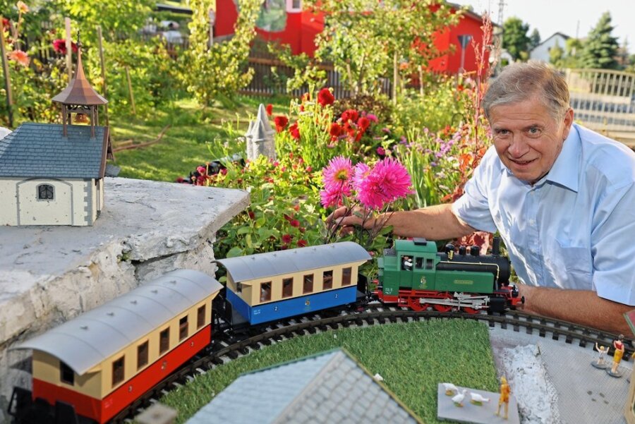 Züge fahren in Schreiersgrün an Dahlien vorbei - Dahlien-Liebhaber Frank Hofmann lässt seine Gartenbahn zwischen den Blumeninseln rollen. 