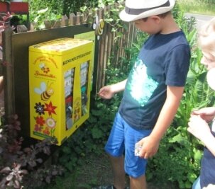 Zuger Kita "Löwenzahn" blüht auf - Der Bienenfutterautomat interessierte die Kinder bei ihrem Besuch im Blumenhaus. 