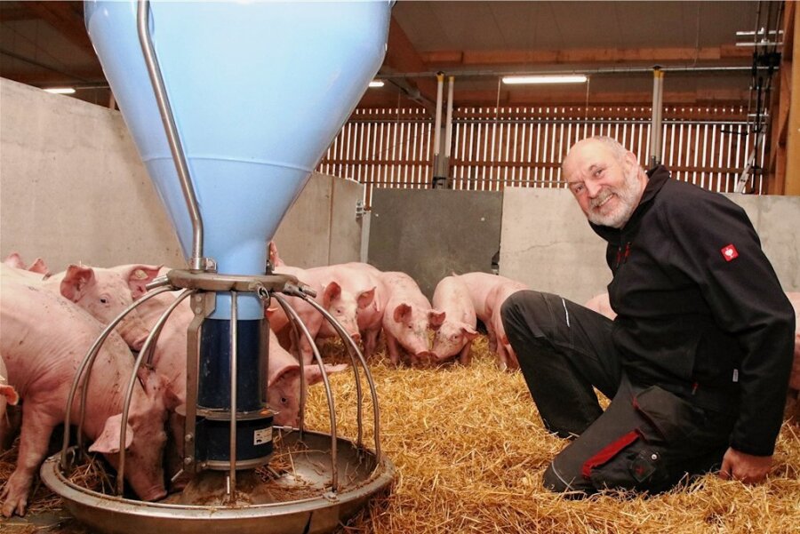 Zur besseren Krisenbewältigung: Landwirte wollen Vogtlandmarke schaffen - Udo Weymann und sein Team von der Agrargenossenschaft Theuma-Neuensalz setzen auf viel Tierwohl, haben unter anderem in einen neuen Schweinestall investiert.