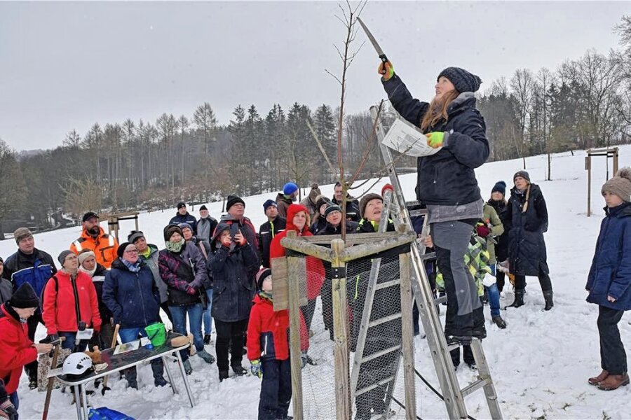 Zur Winterzeit wird Obstbaumschnitt geübt - Die Oederaner Ewilpa-Initiative hatte am Wochenende zum Seminar zum Thema Obstbaum-Verschnitt eingeladen. Viele Interessierte kamen trotz Schneeregens. 