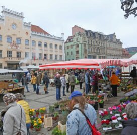 Auf dem Zwickauer Hauptmarkt soll mittwochs ein kurzfristig angesetzter wöchentlicher Markt stattfinden.