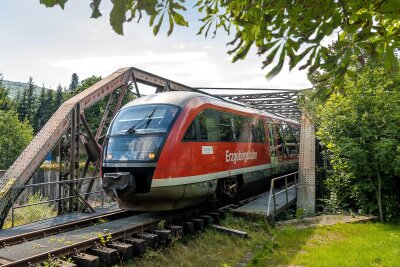 Zuschlag jetzt erteilt: Erzgebirgsbahn fährt weiter bis Ende 2032 - Ein Dieseltriebwagen der Erzgebirgsbahn überquert die Brücke über die Flöha in Olbernhau-Grünthal.